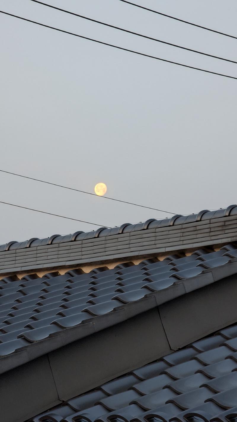 電線を転がる月